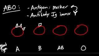 Blood Type ABO and Rh Made Simple [upl. by Vail]