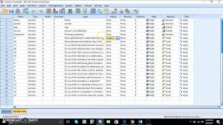 Using SPSS for Research Analysis Tutorial about Entering Data from Questionnaire in SPSS [upl. by Shama]