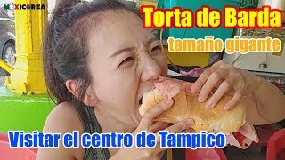 Visitar el centro de Tampico  Probar la torta de Barda helado de Jobito agua de Huapilla [upl. by Ferdie]