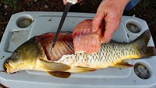 Catch and Cook Carp  How to cook carp  carp fishing tips amp carp recipe [upl. by Daley456]