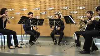 Wind Quintet Op56 No3 in F major  Franz Danzi [upl. by Nrobyalc958]