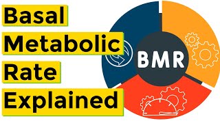 Basal Metabolic Rate BMR Explained [upl. by Anaek]