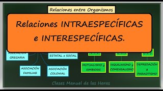 Relaciones Ecológicas Intraespecíficas e Interespecíficas Interacciones en los Ecosistemas [upl. by Ettore]