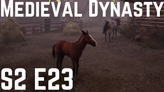 Medieval Dynasty S2 E23  Goatlings Sheep Horses amp Villagers [upl. by Ahsena53]