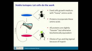 BroadE Quantitative methods in proteomics [upl. by Llemej685]