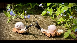 Lustige Weinbergschnecke 🐌 häkeln häkeln crochet schnecke HobbyDIYpetraperle [upl. by Hersch]