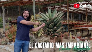 El Cactario más importante de CHILE 🌵  Cactus Alvaralto 🌵  Jorge Lanza [upl. by Gaeta]