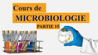 Cours microbiologie partie 15  les besoins spécifiques des bactéries [upl. by Leizo]