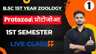 प्रोटोजोआ BSc 1st year zoology chapter 1 in hindi  bsc 1st year zoology  zoology bsc 1st year [upl. by Dolphin]