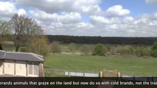 The View  Epping Forest Gateway [upl. by Lacombe792]