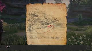 Summerset Treasure map 1 in The Elder Scrolls Online ESO [upl. by Boff577]