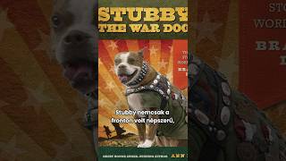 Stubby a háborús hős🐕 [upl. by Naz912]