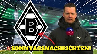 🚨Gerade erschienen Aktuelle Nachrichten Neuigkeiten von BORUSSIA MGLADBACH Heute [upl. by Thanasi]