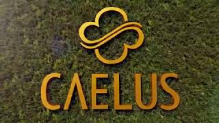 CAELUS BSD CITY SINARMASLAND [upl. by Esidnak]