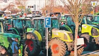 Sternfahrt nach Sinsheim Rund 800 Traktoren machen sich auf nach Sinsheim 🚜 [upl. by Attenaz]