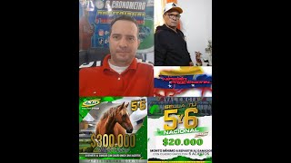 HIPISMO PROFESIONAL DOMINGO 2801 2024 [upl. by Dowlen]