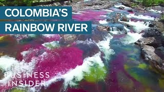 Rainbow River In Colombia Is The Most Beautiful In The World [upl. by Kress53]