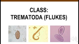 Trematodes [upl. by Preuss]