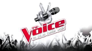 The Voice  La Tournée 2017 [upl. by Barrett]