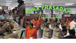 TIRUMALA SRI TARIGONDA VENGAMAMBA ANNA PRASADA KENDRAM youtubeshorts [upl. by Ecinuahs588]