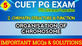 CUET  5  ORGANISATION OF CHROMOSOME  MCQs amp Answers [upl. by Dredi]