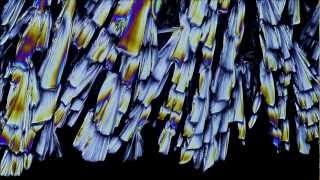 Timelapse of Crystals Growing [upl. by Ytrebil]