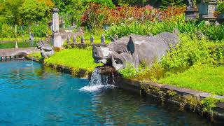 Top 10 Gardens in the World Exploring Natures Beauty and Serenity [upl. by Neelrak156]