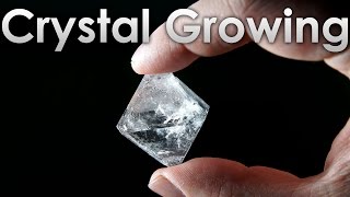 Grow Transparent Single Crystals of Alum salt at Home [upl. by Dru]