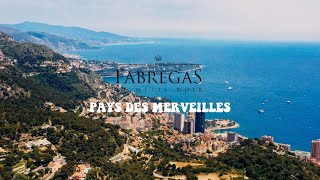 Fabregas le Métis Noir  Pays des Merveilles Clip Officiel [upl. by Annil]