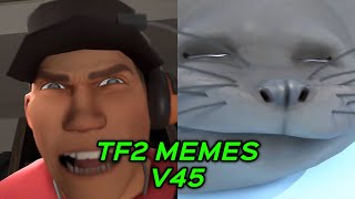 TF2 MEMES V45 [upl. by Leiuqeze717]