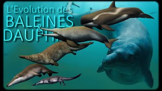 La surprenante origine des baleines et dauphins [upl. by Kella633]