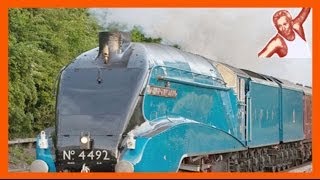 Steam Trains At High Speed Compilation 150 kph  90 mph On UK Main Line Bittern 60019 [upl. by Viglione119]