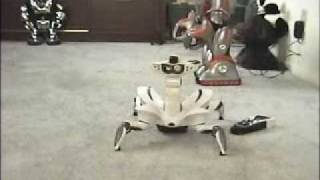 RoboRaptor amp RoboReptile Reviewed [upl. by Yenaffit]