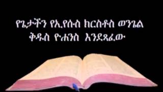 የዮሐንስ ወንጌል ኦዲዮ  Amharic Audio Bible John የጌታችን የኢየሱስ ክርስቶስ ወንጌል ቅዱስ ዮሐንስ እንደጻፈው [upl. by Avla296]