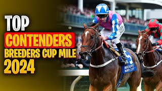 Breeders Cup Mile 2024  Top Contenders You Need to Know [upl. by Talley]