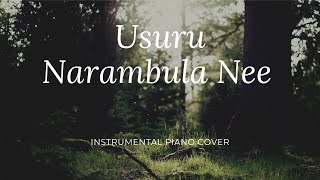 USURU NARAMBULA NEE  PIANO COVERINSTRUMENTALdo subscribe❤ [upl. by Lianna584]