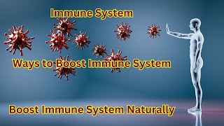 Boost Immune System Naturally  Tips to Naturally Strengthen Your Immune System  Immune System [upl. by Cal]