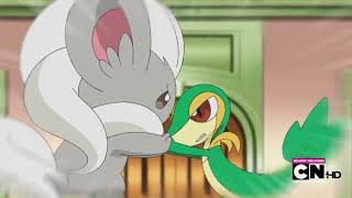 Pokémon Black amp White Cinccino vs Snivy [upl. by Neerak886]