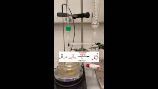 Hantzschtype reaction  Dean Stark [upl. by Shutz315]