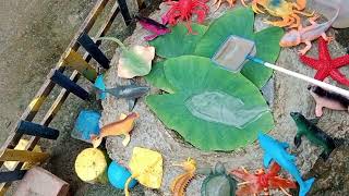 Amazing Catch Catfish In Tiny Ponds Turtles Bettas Neon Fish Frogs Angelfish Grouper Fish [upl. by Evvy]