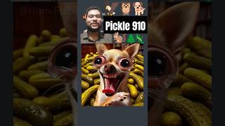 HmmFish airrack airrack animation funny dog pickle 910 doganimation animalcartoon cat [upl. by Tammy]