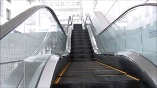 【散策】お台場 フジテレビまでのエスカレーター Walking Escalator up to Odaiba Fuji TV [upl. by Meehyrb]