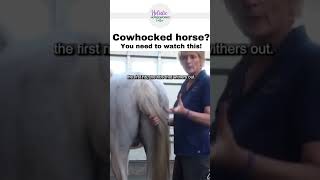 Cow Hocked Horse Watch This  Equine Bodywork  Holistic Horseworks [upl. by Itsyrc]