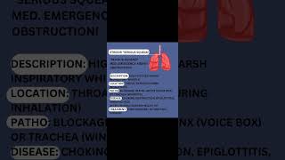 Stridor quotSerious Squeakquot Abnormal lung sounds [upl. by Leif245]