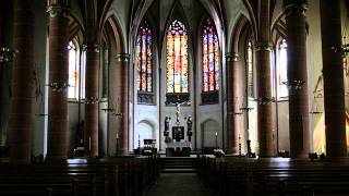 Lied Orgel  Gott nimm an was wir dir schenken [upl. by Llirret]