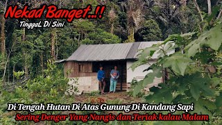 NEKAD Satu Keluarga Memilih Tinggal Di Tengah Hutan Di Atas Gunung Tanpa Listrik [upl. by Tager]