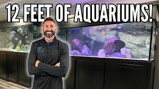 NEW 180 GALLON MBUNA AQUARIUM  The ULTIMATE Mbuna Cichlid Tank Setup [upl. by Ynnor706]