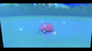 Finding and Catching Female Combee Pokémon Y [upl. by Polak]