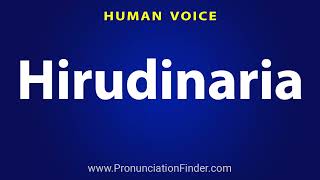 How To Pronounce Hirudinaria [upl. by Zelde]