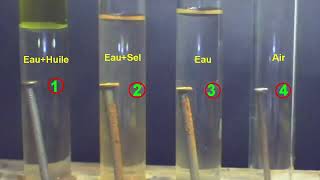 Oxydation de quelques métaux dans lair 3APIC [upl. by Sherm]